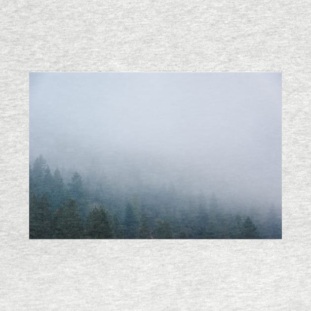 The Forest Through The Fog by pmcmanndesign